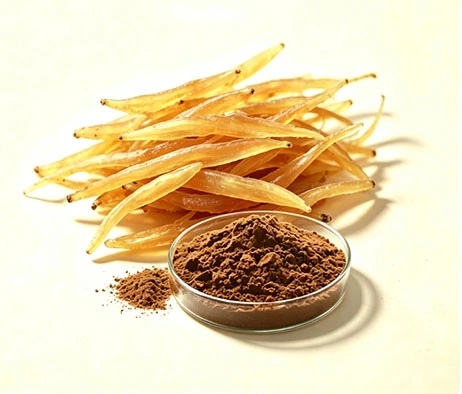Shatavari Extract Shatavari Extract