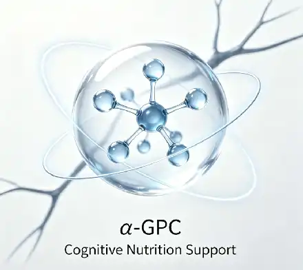 α-GPC α-GPC