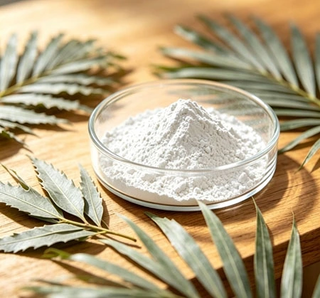 Saw Palmetto Powder