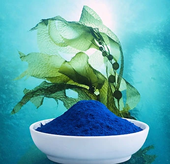 Phycocyanin Powder Phycocyanin Powder