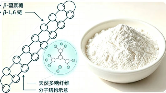 Beta-Glucan Beta-Glucan