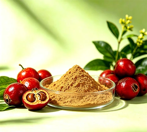 Natural Guarana Extract 