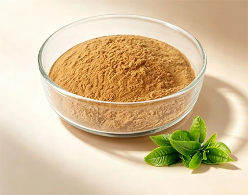 EGCG powder