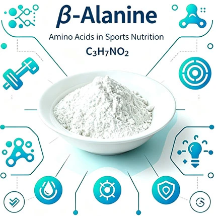 Beta-Alanine Beta-Alanine