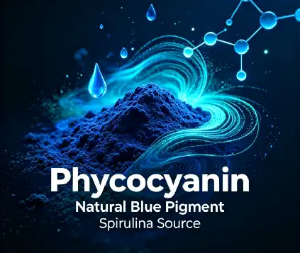 Phycocyanin Powder