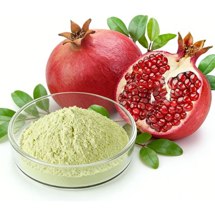 The Hidden Power of Urolithin A for Cellular Renewal