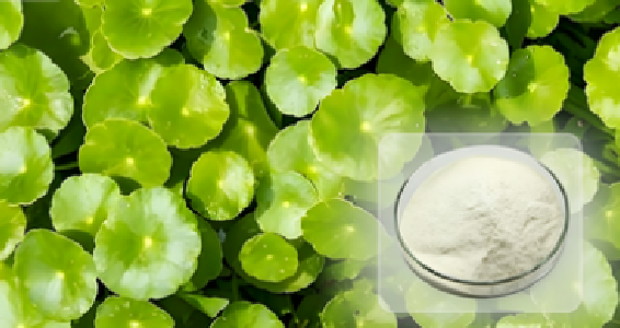 Why Is Centella Asiatica Extract Everywhere in Skincare?