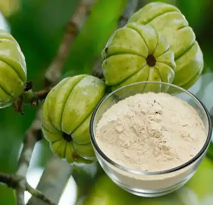How does garcinia cambogia extract work？