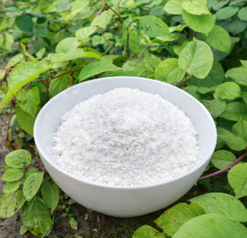 How Resveratrol Powder Is Used in Anti-Aging R&D