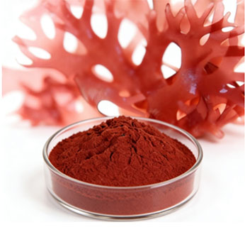 What Is Astaxanthin? Benefits, Uses, and Side Effects Explained
