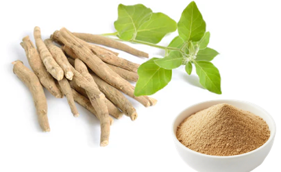 Top Benefits of Ashwagandha Extract for Anxiety, Sleep & Mood