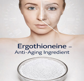Ergothioneine Ingredient Guide: Health Benefits and Commercial Applications