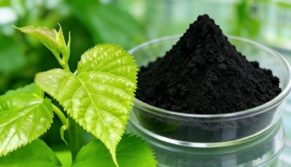 Sodium Copper Chlorophyllin for Internal Deodorant and Gut Health