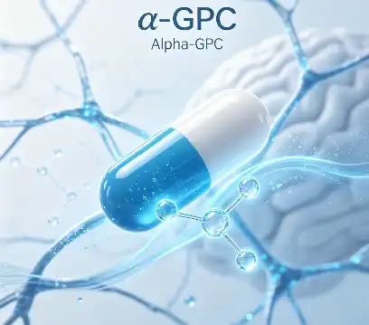 Alpha GPC Powder Benefits: The Nootropic Behind Sharper Focus