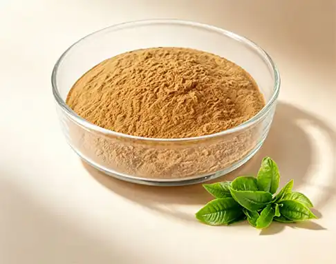 What is Green Tea Extract, Benefits, Uses & Health Effects
