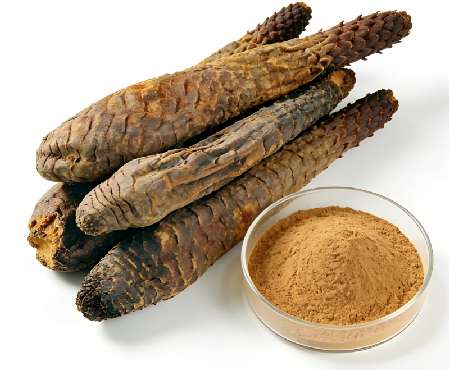 Top Benefits of Cistanche Tubulosa Extract for Strength and Endurance