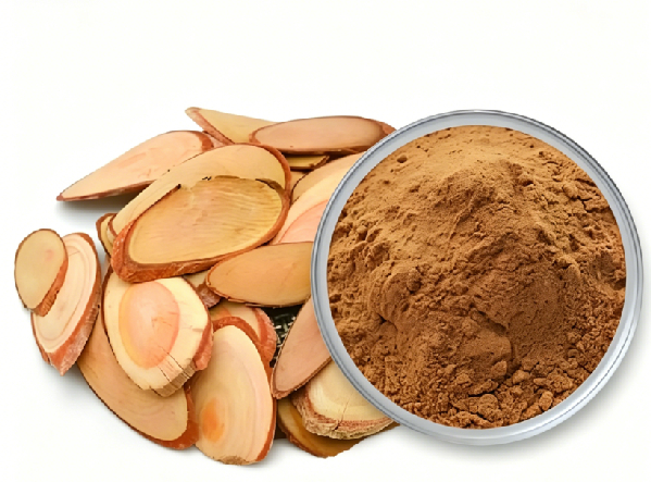 Top Benefits of Tongkat Ali Extract for Strength, Energy & Hormones