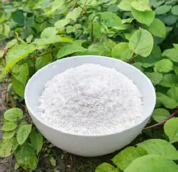 Best Pure Resveratrol Powder for EU Nutraceutical Companies