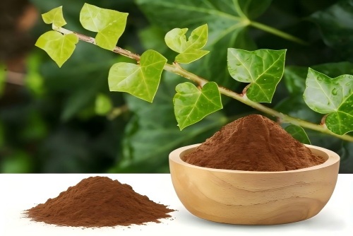 Ivy Leaf Extract Powder Specifications and Applications for B2B Manufacturers