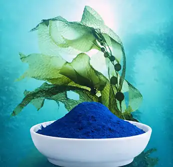 Benefici della spirulina blu: cosa fa realmente la ficocianina Benefici della spirulina blu: cosa fa realmente la ficocianina