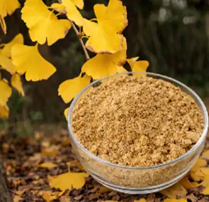 Where to Buy High-Purity Ginkgo Biloba Leaf Extract Powder？