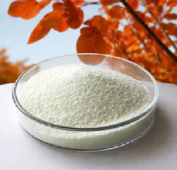 Fisetin vs Curcumin: Key Differences and Benefits