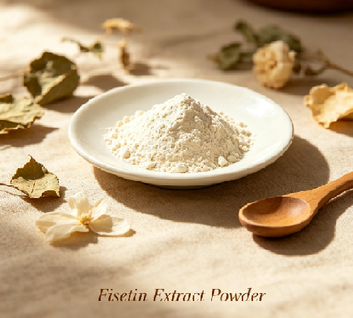 What does fisetin do to your body?