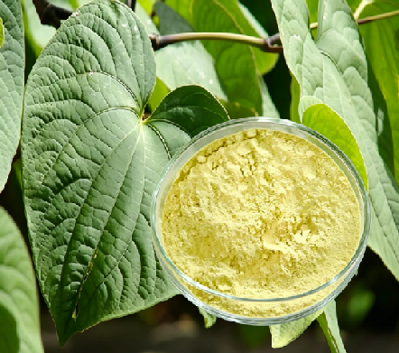 Kava Extract Benefits: Natural Stress Relief, Anxiety Support & Better Sleep