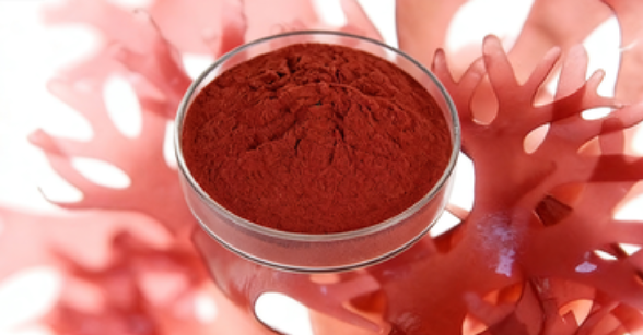 Astaxanthin: The Secret Behind Glowing Skin and Eye Health
