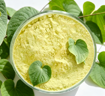 Top Benefits of Kava Extract for Stress, Mood, and Sleep Quality