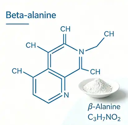 High Purity Β-Alanine For Sports Nutrition High Purity Β-Alanine For Sports Nutrition