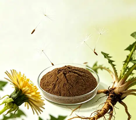 Dandelion Extract