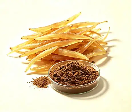 Shatavari Extract Powder