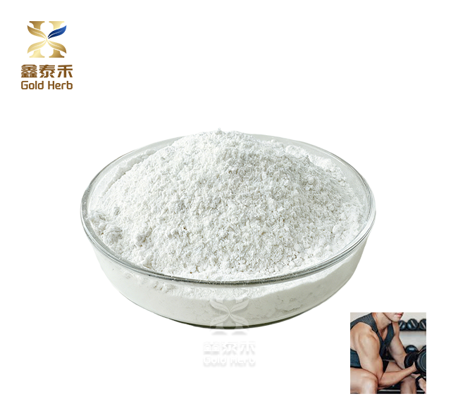 25 kg Kreatin Tozu