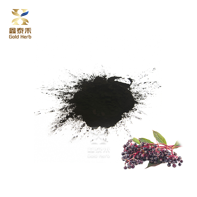 Elderberry extract phofo Elderberry extract phofo