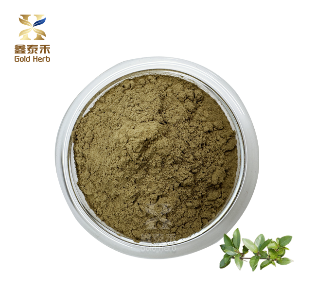 Gymnema Sylvestre экстракт парашок Gymnema Sylvestre экстракт парашок